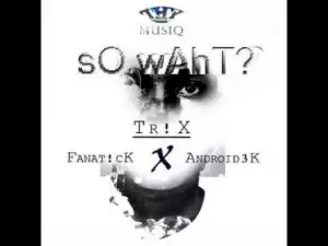 Tr!X - So wAhT ft Fanat!ck & Android3K